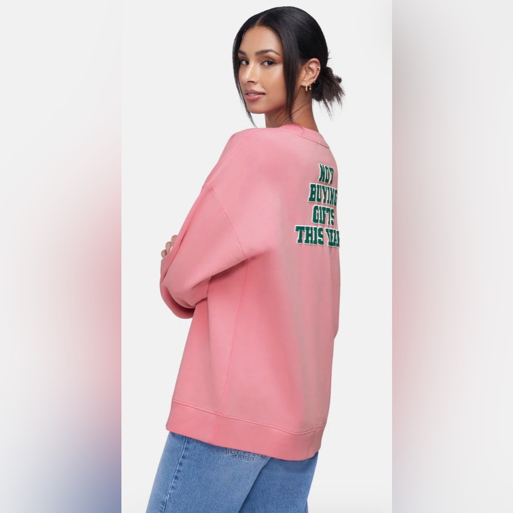 Wildfox Sweatshirt Women's Crew Neck Investing In Myself Aurora Pink XL - Picture 9 of 12